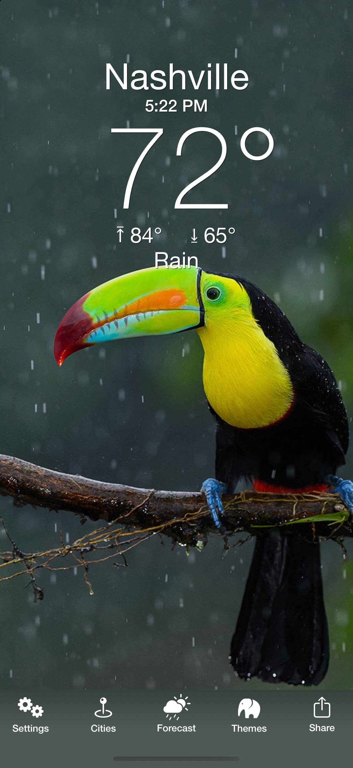 Weather Puppy: The Daily Reminder